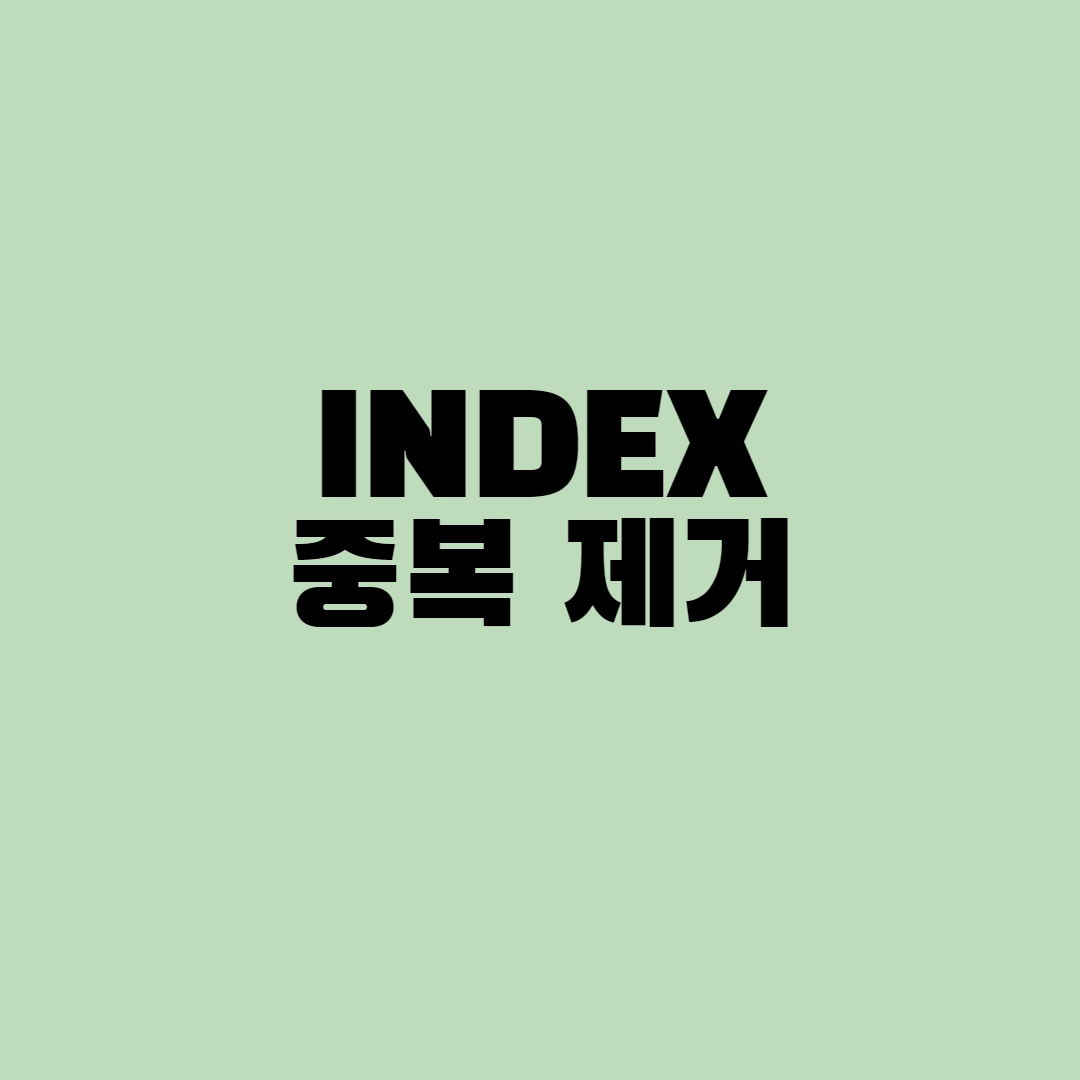  [친절한 SQL] 중복 인덱스 제거