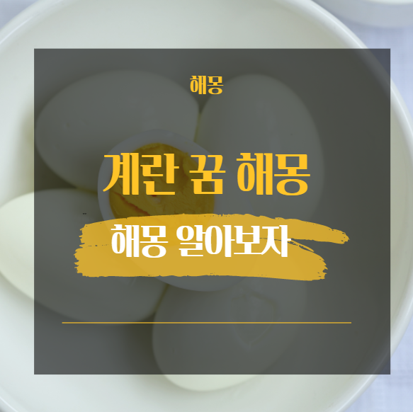  계란 꿈 해몽 51가지 모음 [ 깨는 먹는 받는 삶는 줍는 등 ]
