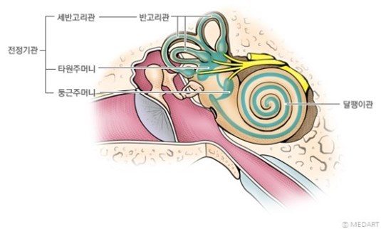  멀미하는 이유, 멀미 예방 방법