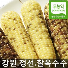  특가 찰옥수수 골라옴. 먹고싶어요~