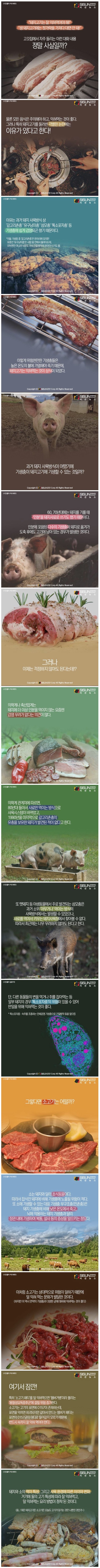  '돼지고기는 다 익혀서' 라는 말은 왜 생겨났을까?
