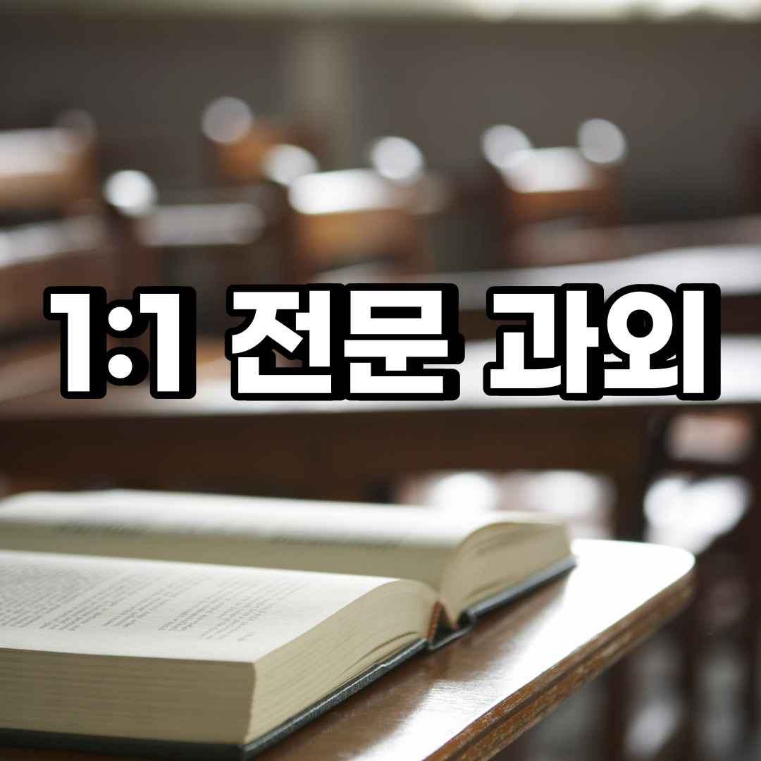  분당구 초등 영어과외 수내동 정자동 중등 고등 국어 수학과외 검정고시