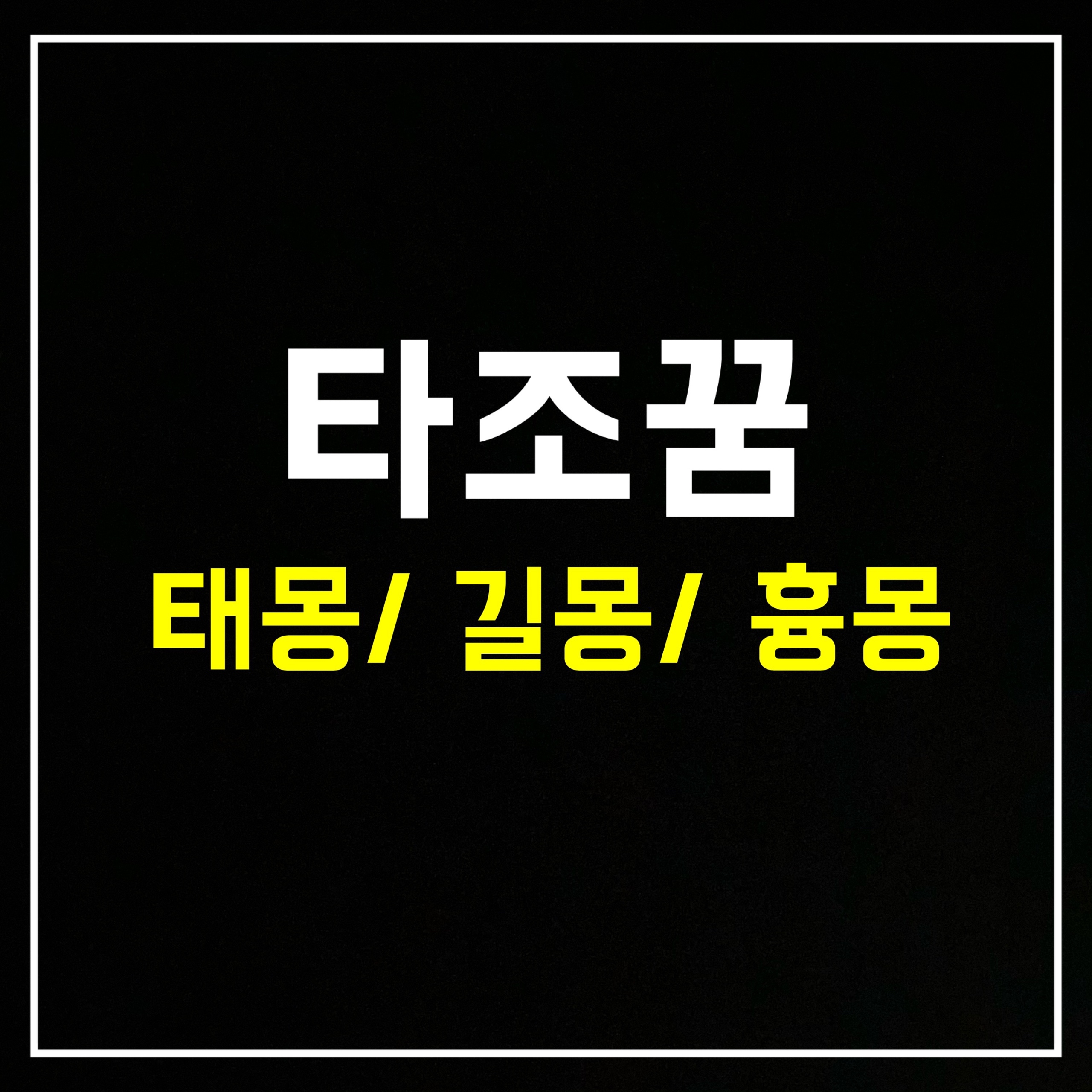  [동물꿈] 타조꿈은 어떤 의미일까? 태몽/길몽/흉몽 총정리