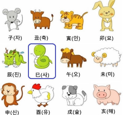  [사주 명리학] 2023년 뱀띠 운세