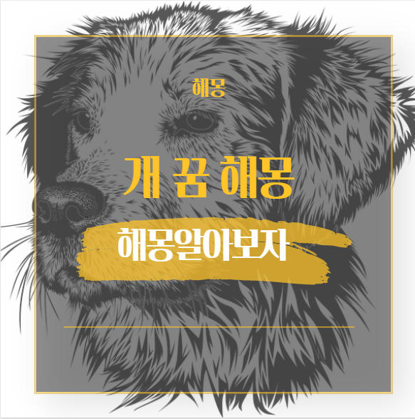  개 꿈 해몽 해석 모음 14가지