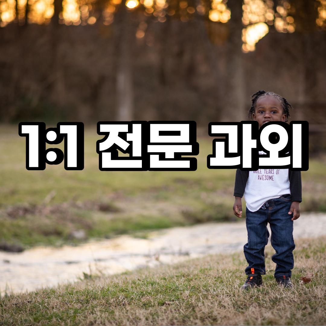 화성 초등 영어과외 송산면 서신면 중등 고등 국어 수학과외 검정고시