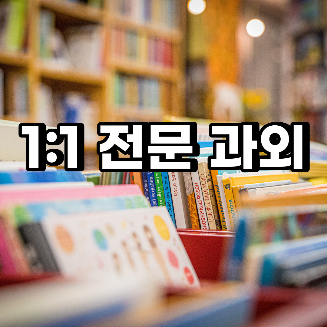  일산동구 초등 영어과외 풍동 산황동 중등 고등 국어 수학과외 검정고시