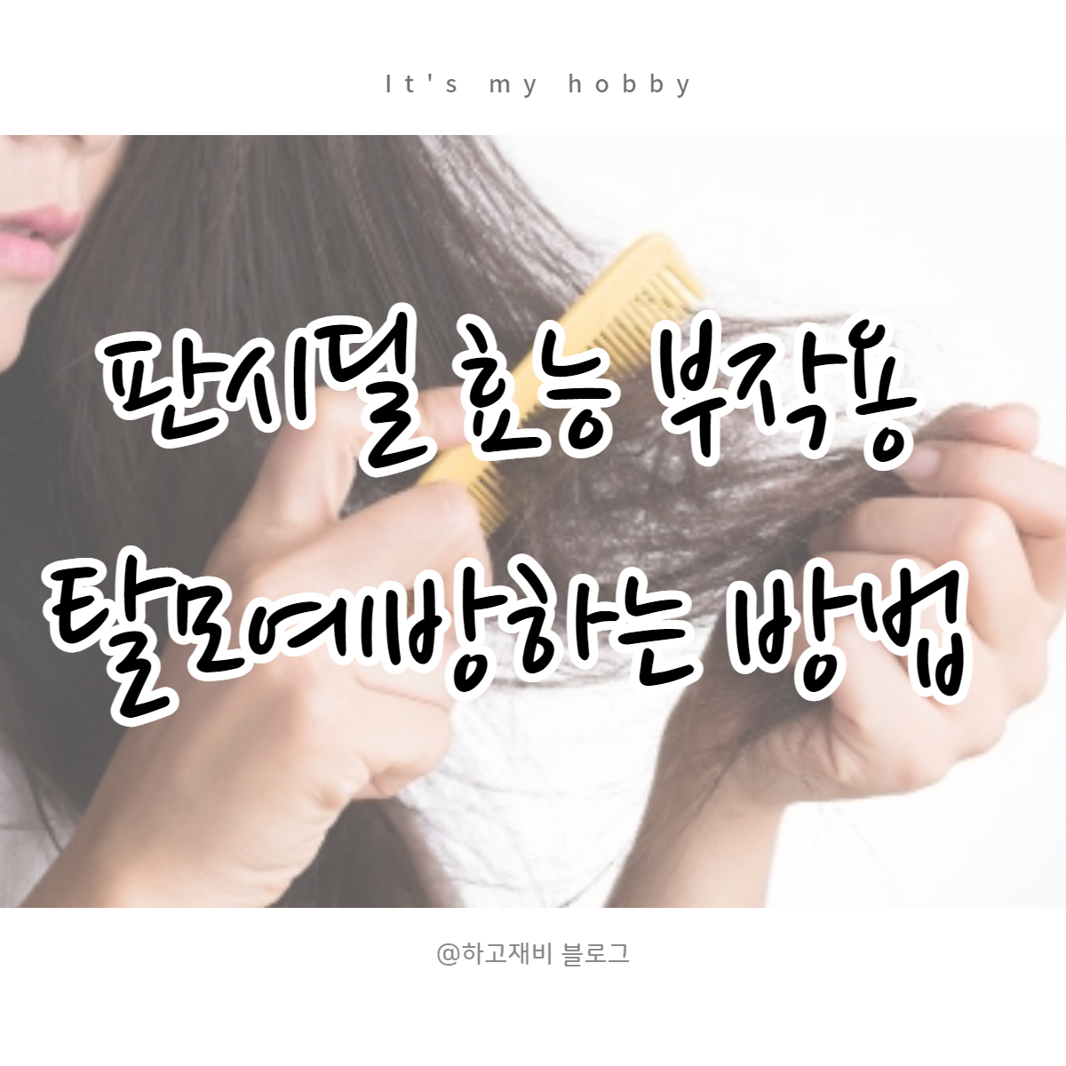  탈모약 판시딜 효능과 부작용 (feat. 가격 및 구입방법)