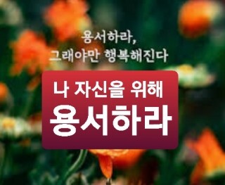  229번째 선물 - 자신을 위해 용서하라.