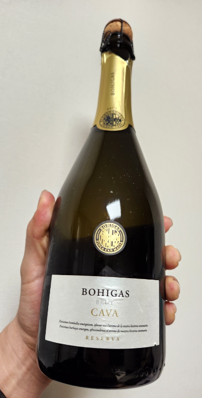  [스페인/스파클링] 보히가스 리제르바 까바 브뤼 Bohigas Reserva Cava Brut (페어링/곶감/피아프초콜릿)