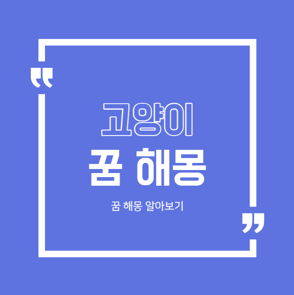  고양이 꿈 해몽 25가지 모음