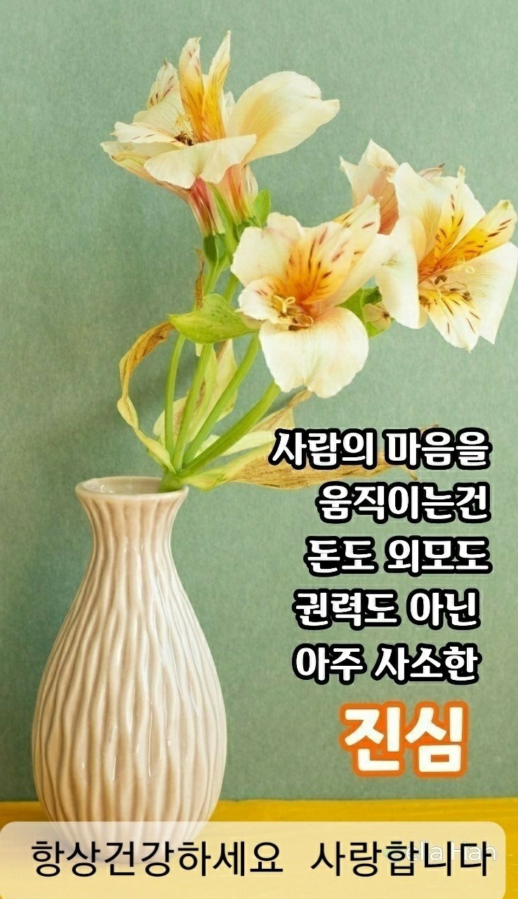  자기개발글쓰기 15일차