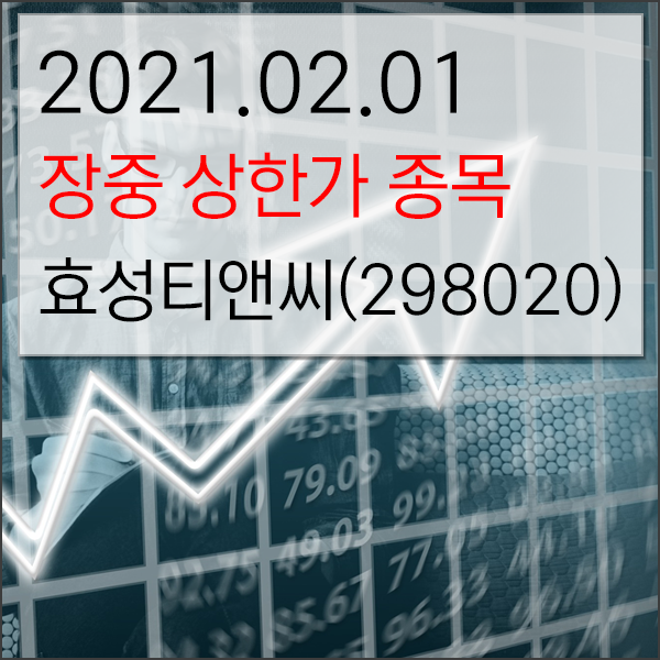  [2021.02.01] 2월 첫날 주식시장 장중 상한가 종목 효성티앤씨(298020) 상한가 진입