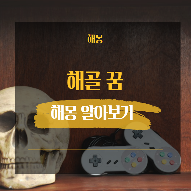  해골 꿈 해몽 해석 모음 26가지 모음 [ 쫓기는 보물 말거는 걸어오는 등 ]