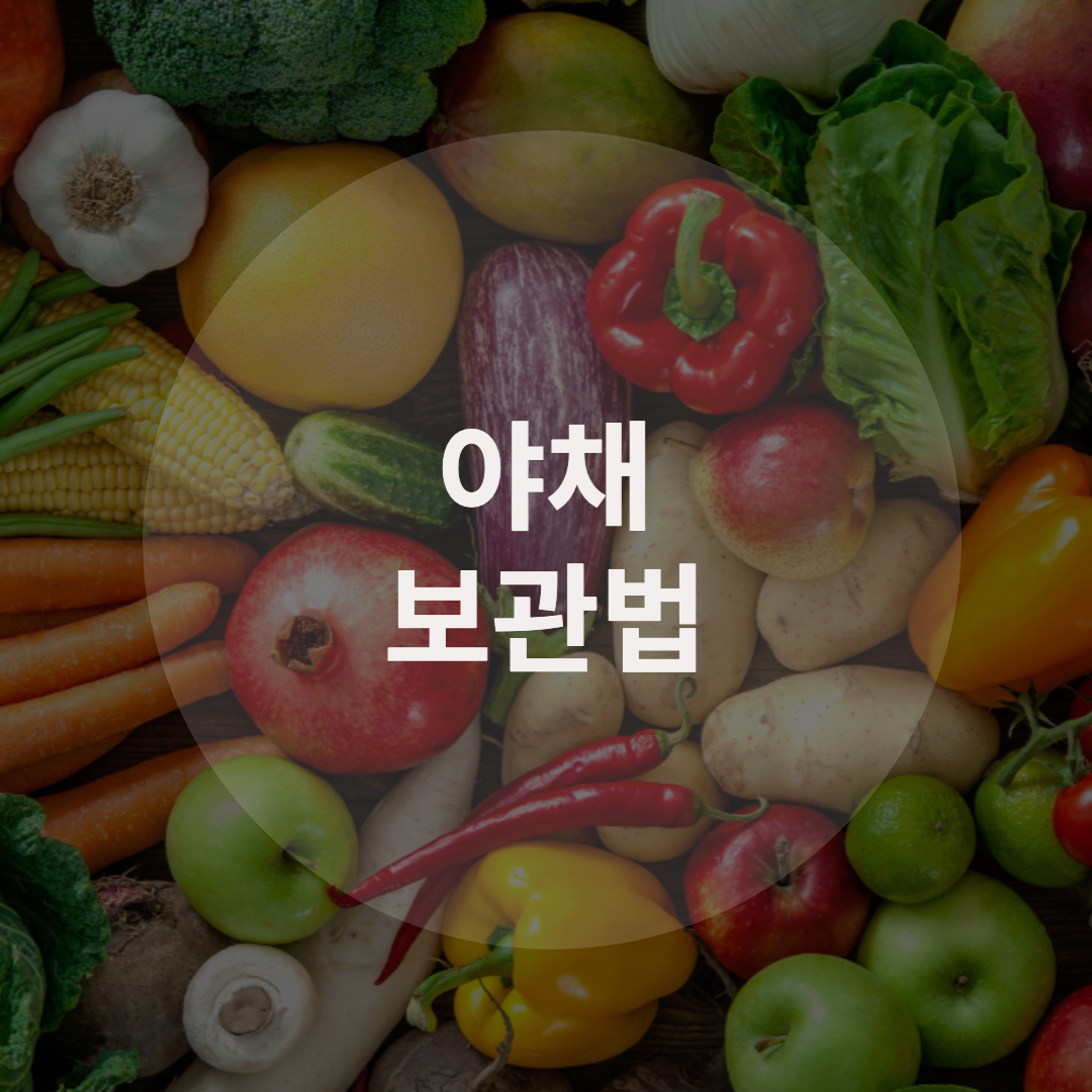  쉽게 상하지 않는 야채 보관법