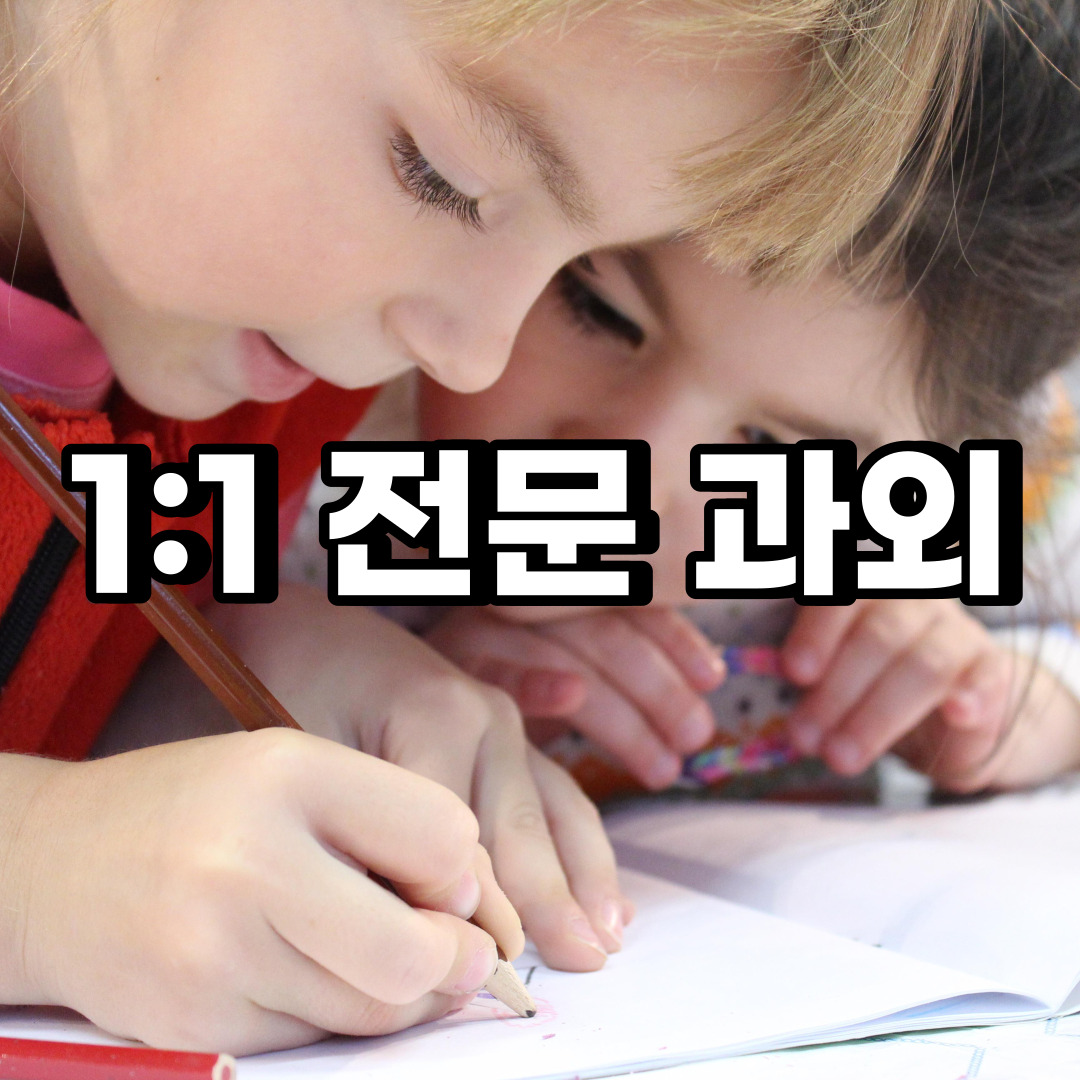  강화 초등 영어과외 옹진 대전 중학생 중등 고등 국어 수학과외