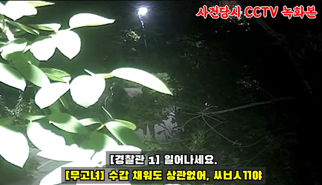  40대가장폭행 20대만취녀 경찰체포시 욕설 들으니 귀청소해야 하나 글로만 보자