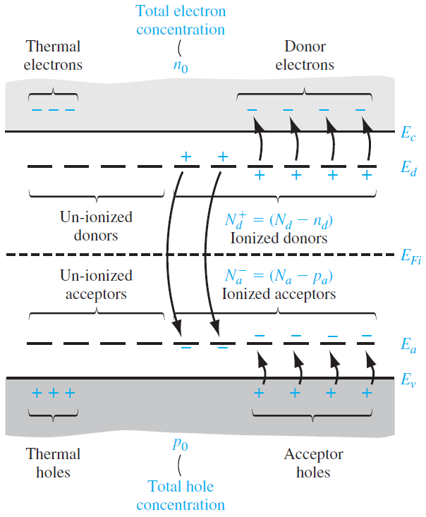 물리전자개론#4-3 The Semiconductor in Equilibrium