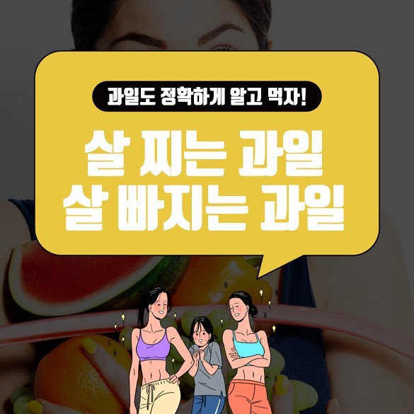  살 찌는 과일 살 빠지는 과일