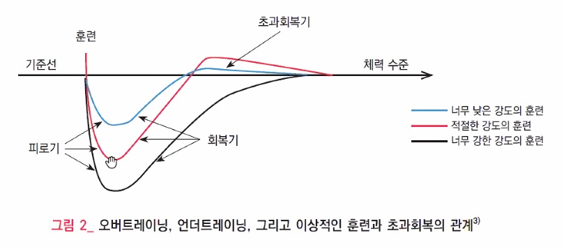  생활스포츠지도사 연수 2일차(주말반) 후기