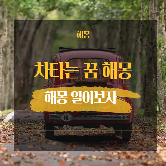  차타는 꿈 해몽 23가지