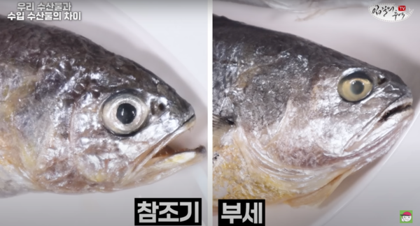  조기