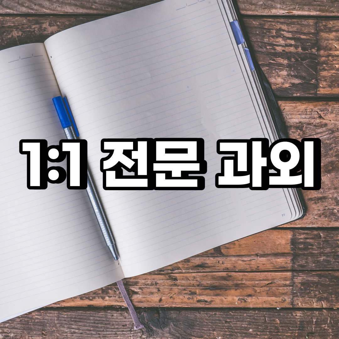 성북구 초등 영어과외 동선동 정릉 중등 고등 국어 수학과외