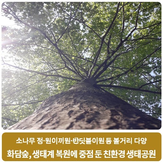  화담숲, 생태계 복원에 중점 둔 친환경 생태공원