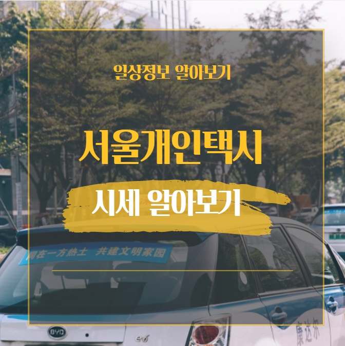  서울 개인택시 시세 알아보기 사이트 3곳