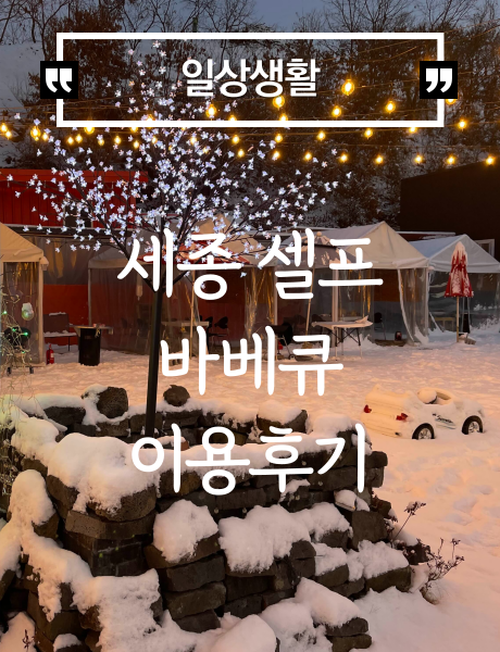  세종시 장군면 셀프 바베큐장 이용후기