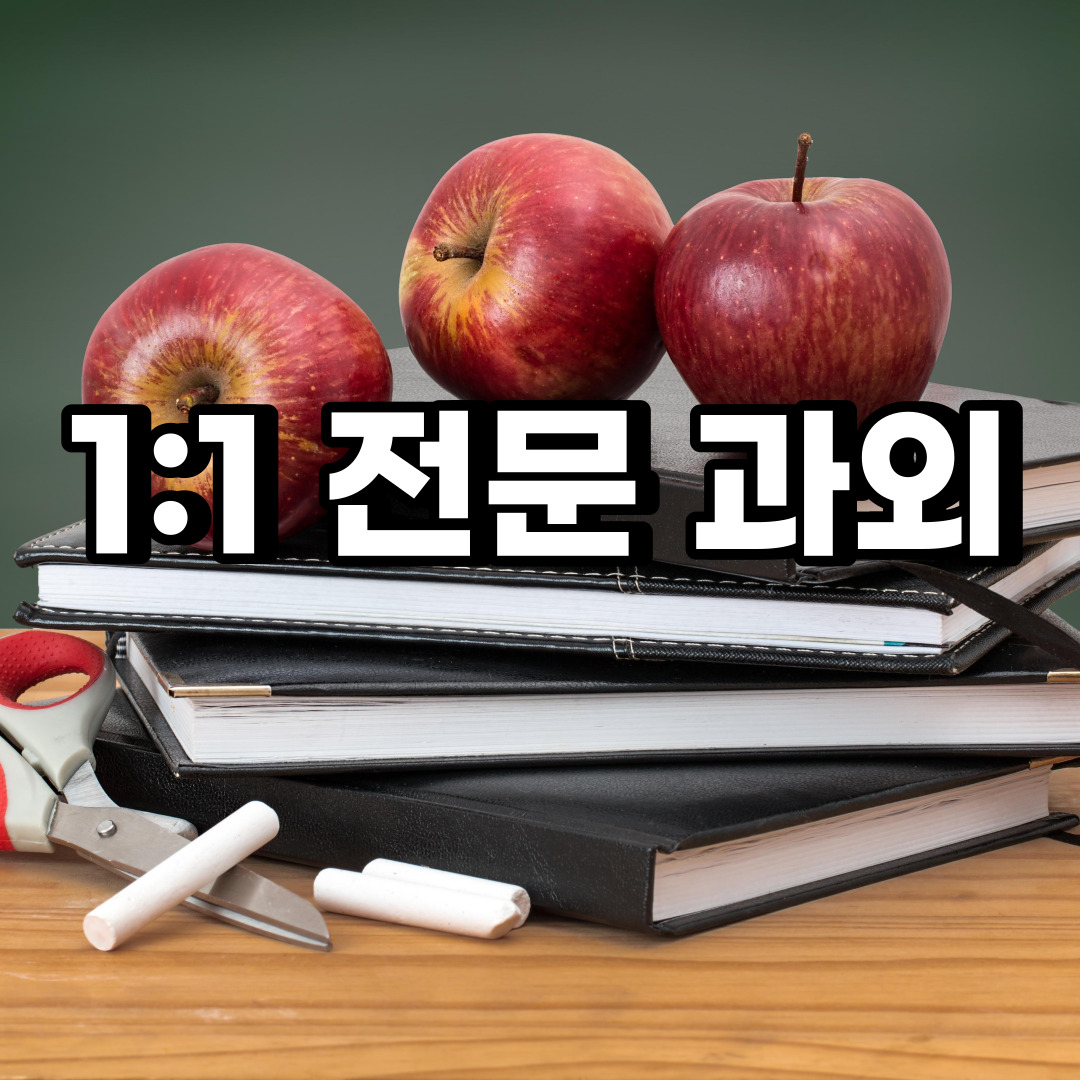  여주 초등 영어과외 창동 우만동 중등 고등 국어 수학과외 검정고시