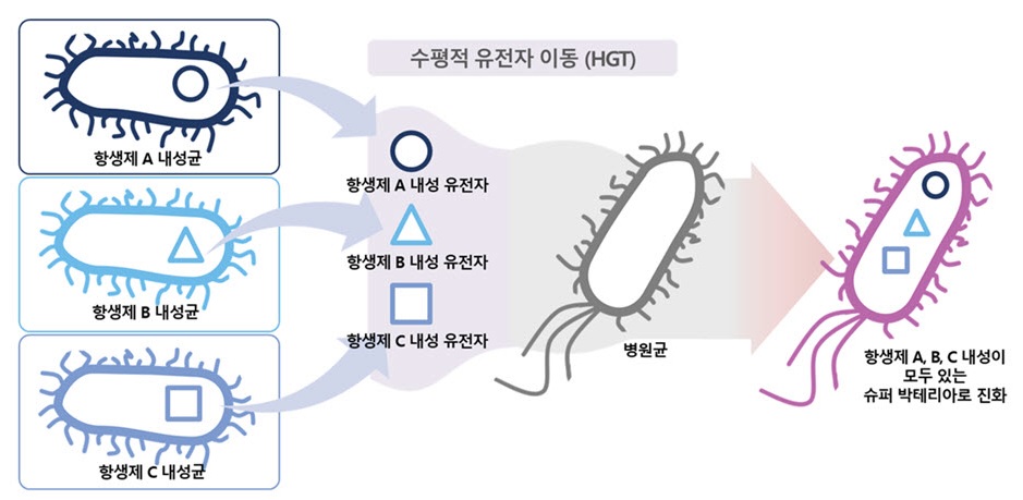 세계 최대 규모의 미생물 수평 유전자 이동 현상 데이터베이스 구축 (슈퍼박테리아의 진화와 출현 분석)