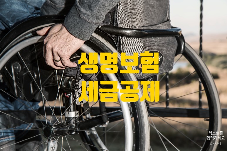  보험혜택 생명보험의 세액공제