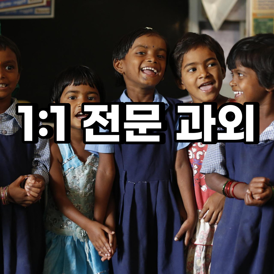  일산동구 초등 영어과외 마두동 백석동 중등 고등 국어 수학과외 검정고시