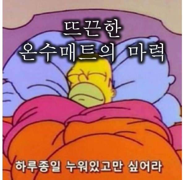  더 얇고 편해진 요즘 온수매트 목록 20가지
