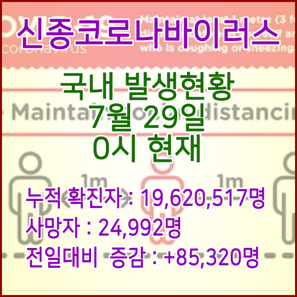  코로나19(코로나바이러스) 7월 29일 0시 신규확진자 85,320명 / 사망자 24,992명