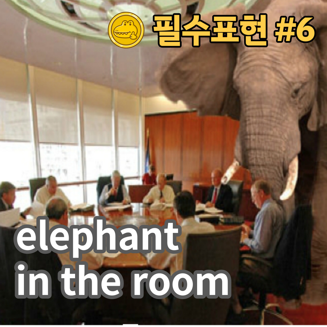 고급 영어회화 표현 #6 “elephant in the room”