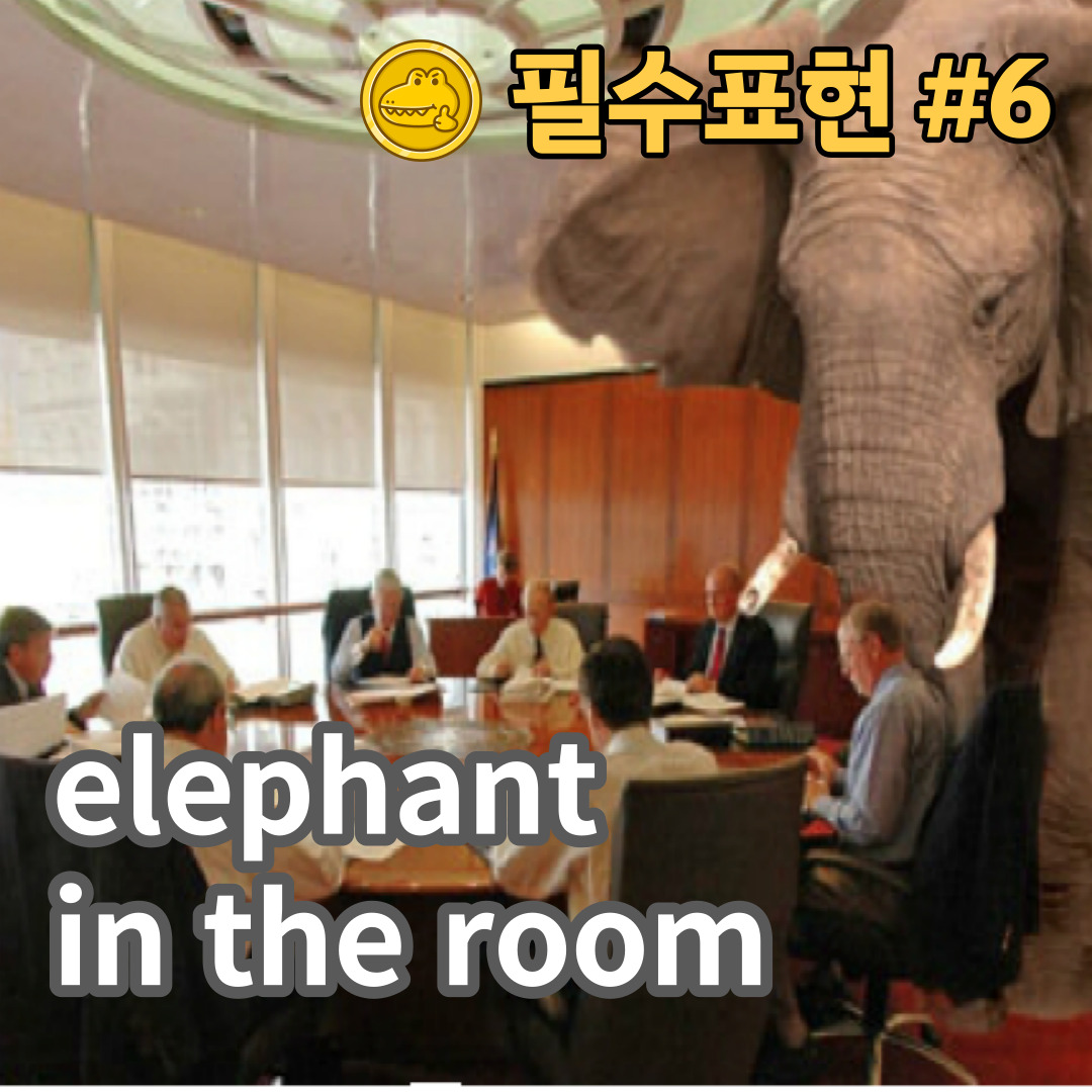  고급 영어회화 표현 #6 “elephant in the room”
