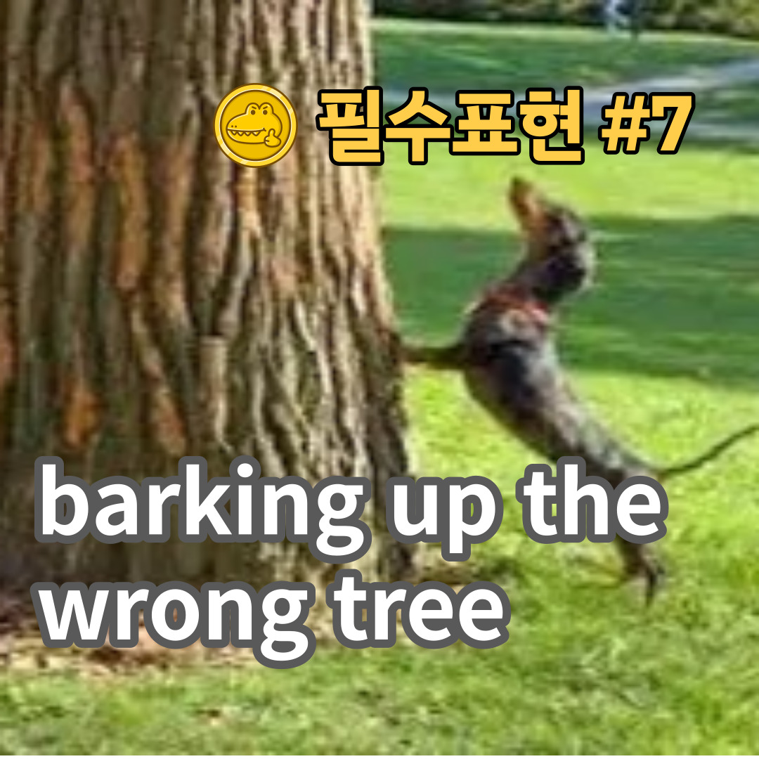 고급 영어회화 표현 #7 “barking up the wrong tree”