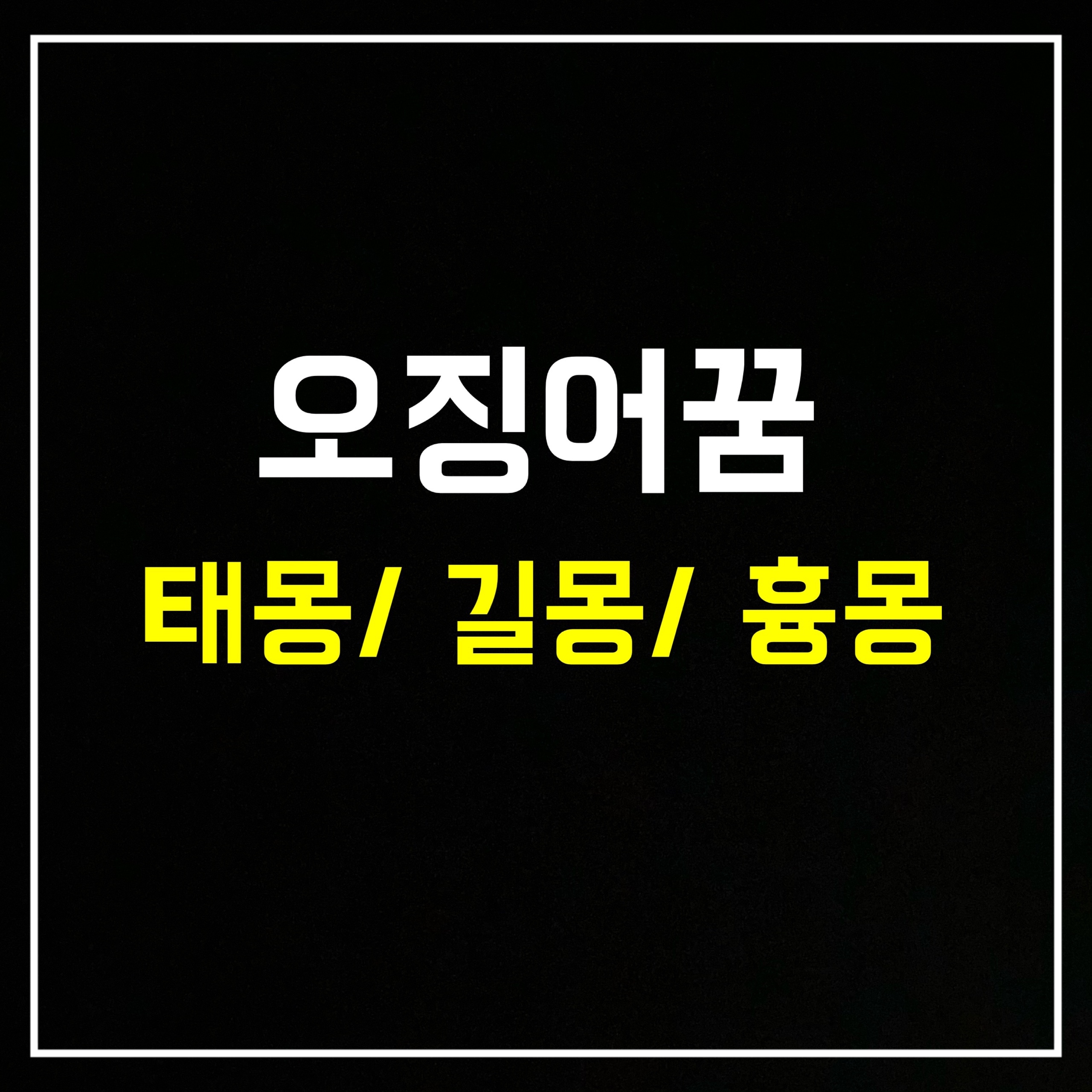  [어패류꿈] 오징어꿈은 어떤 의미일까? 태몽/길몽/흉몽 총정리