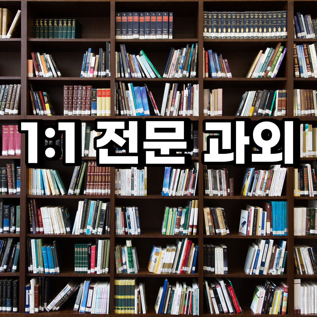  덕양구 초등 영어과외 화정동 강매동 중등 고등 국어 수학과외 검정고시