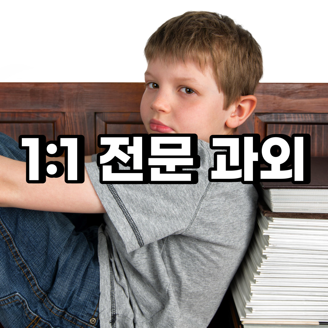  마포구 초등 영어과외 대흥동 염리동 중등 고등 국어 수학과외
