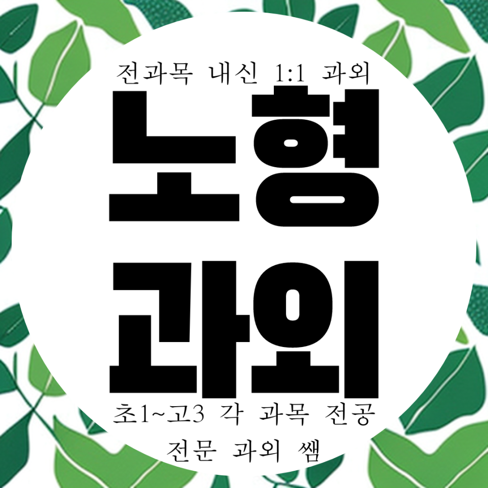  노형동 신제주 영수 과외 방문 과학 역사 국어 한국사 사회 제주 남녕고 제일고 내신 전문 전과목 국영수 과외