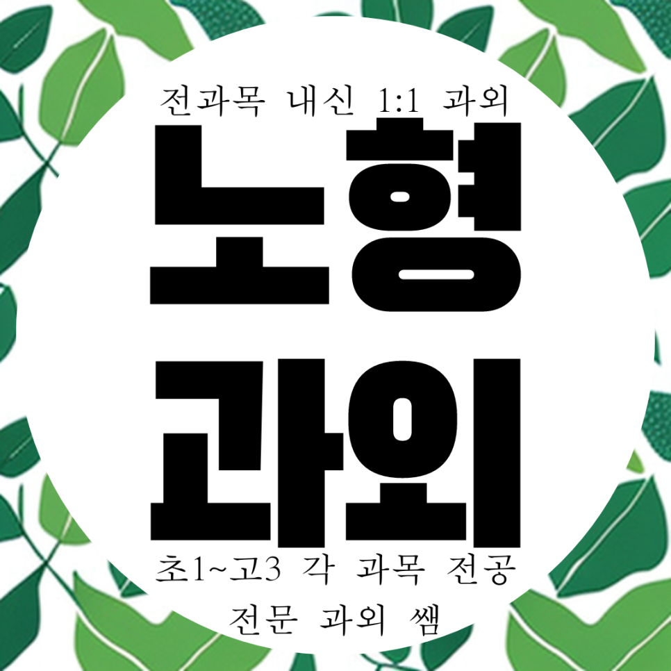 노형동 신제주 영수 과외 방문 과학 역사 국어 한국사 사회 제주 남녕고 제일고 내신 전문 전과목 국영수 과외