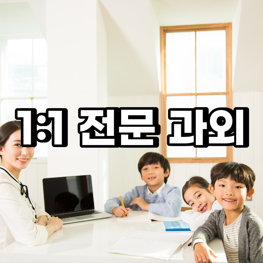  영동 초등 영어과외 증평 진천 중학생 중등 고등 국어 수학과외
