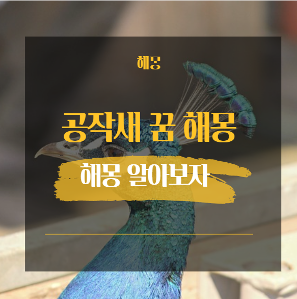  공작새 꿈 해몽 모음 43가지 [ 나는 알 우는 부채 날개 싸우는 등 ]