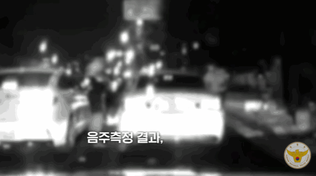  제정신이 아닌 20대여성 신호위반추돌, 도주뺑소니, 추격전 만취운전 머리까지 만지는 여유?