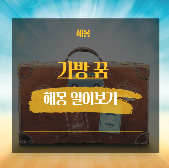  가방 꿈해몽 해석 모음 17가지