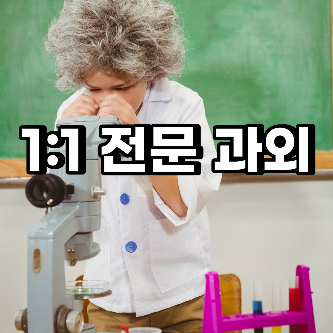  부천 초등 영어과외 고강동 대장동 중등 고등 국어 수학과외 검정고시