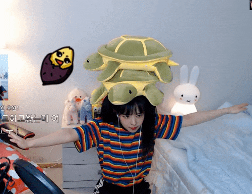  고 BJ잼미 악성댓글, 우울증으로 스스로 삶을 마감, 타유튜버들은 왜 사과를 할까?